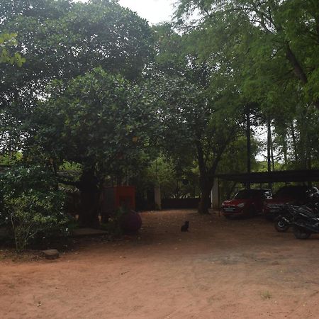 Travellers Crib Hotel Auroville Buitenkant foto