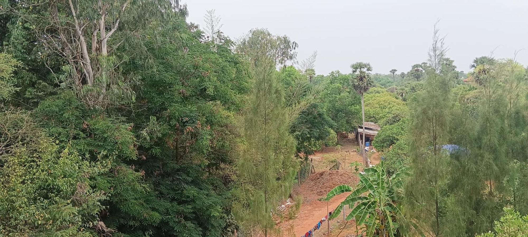Travellers Crib Hotel Auroville Buitenkant foto