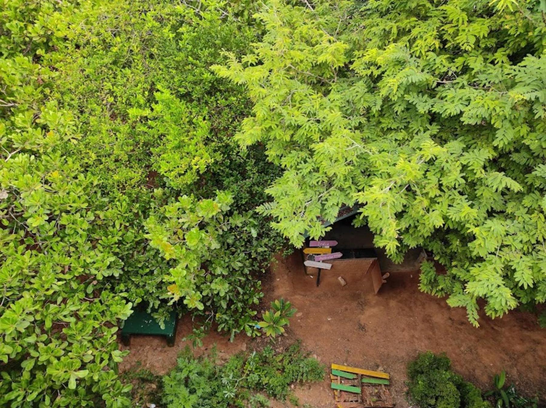 Travellers Crib Hotel Auroville Buitenkant foto