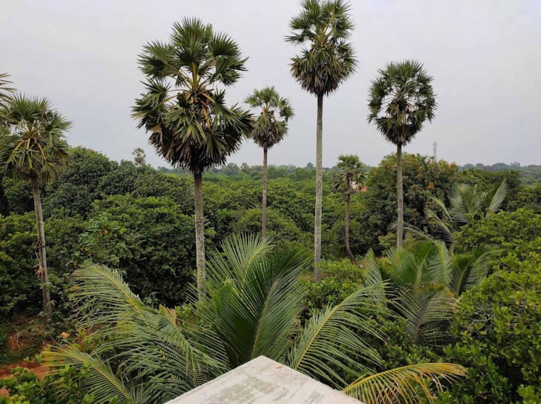 Travellers Crib Hotel Auroville Buitenkant foto