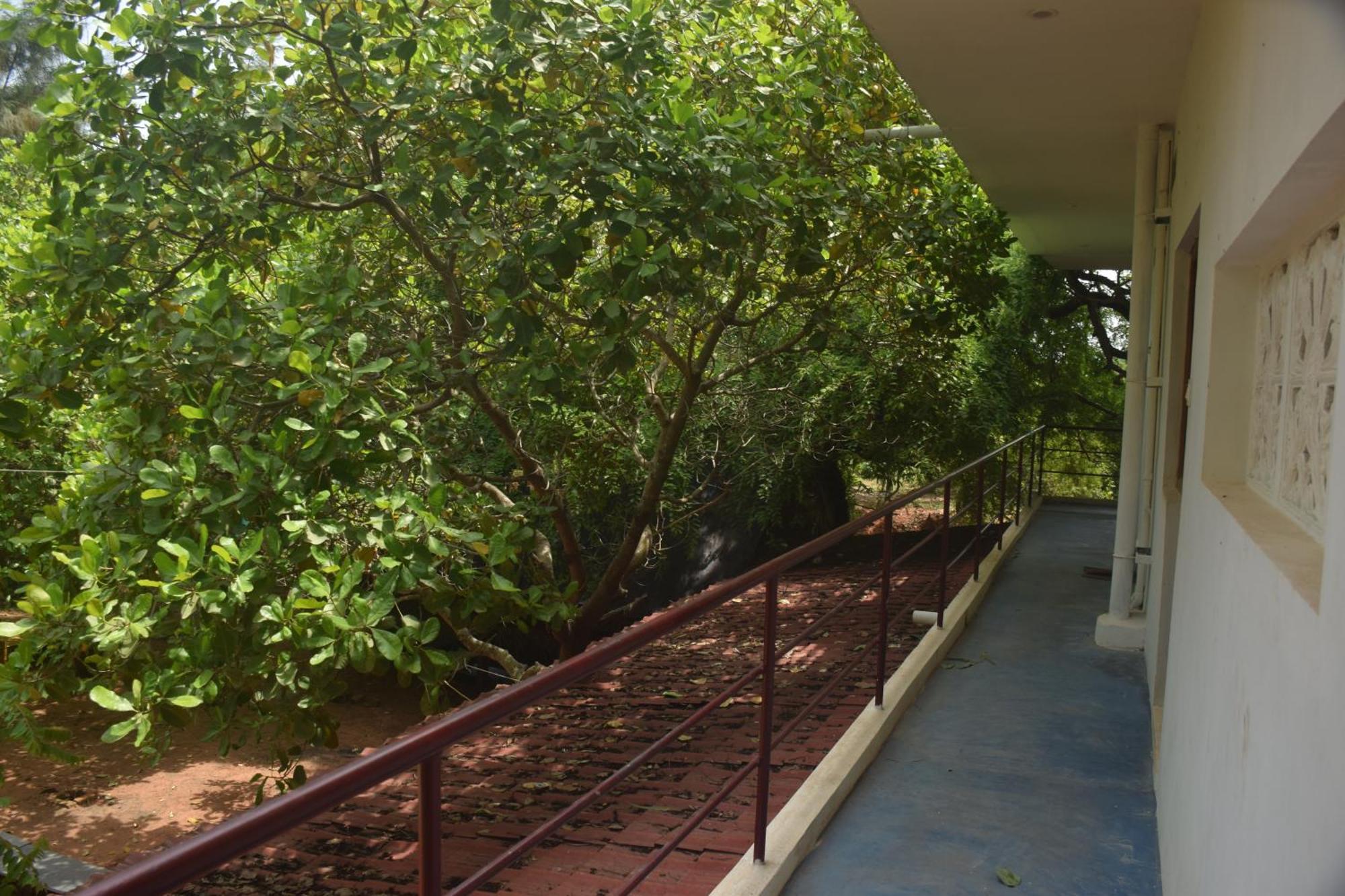 Travellers Crib Hotel Auroville Buitenkant foto