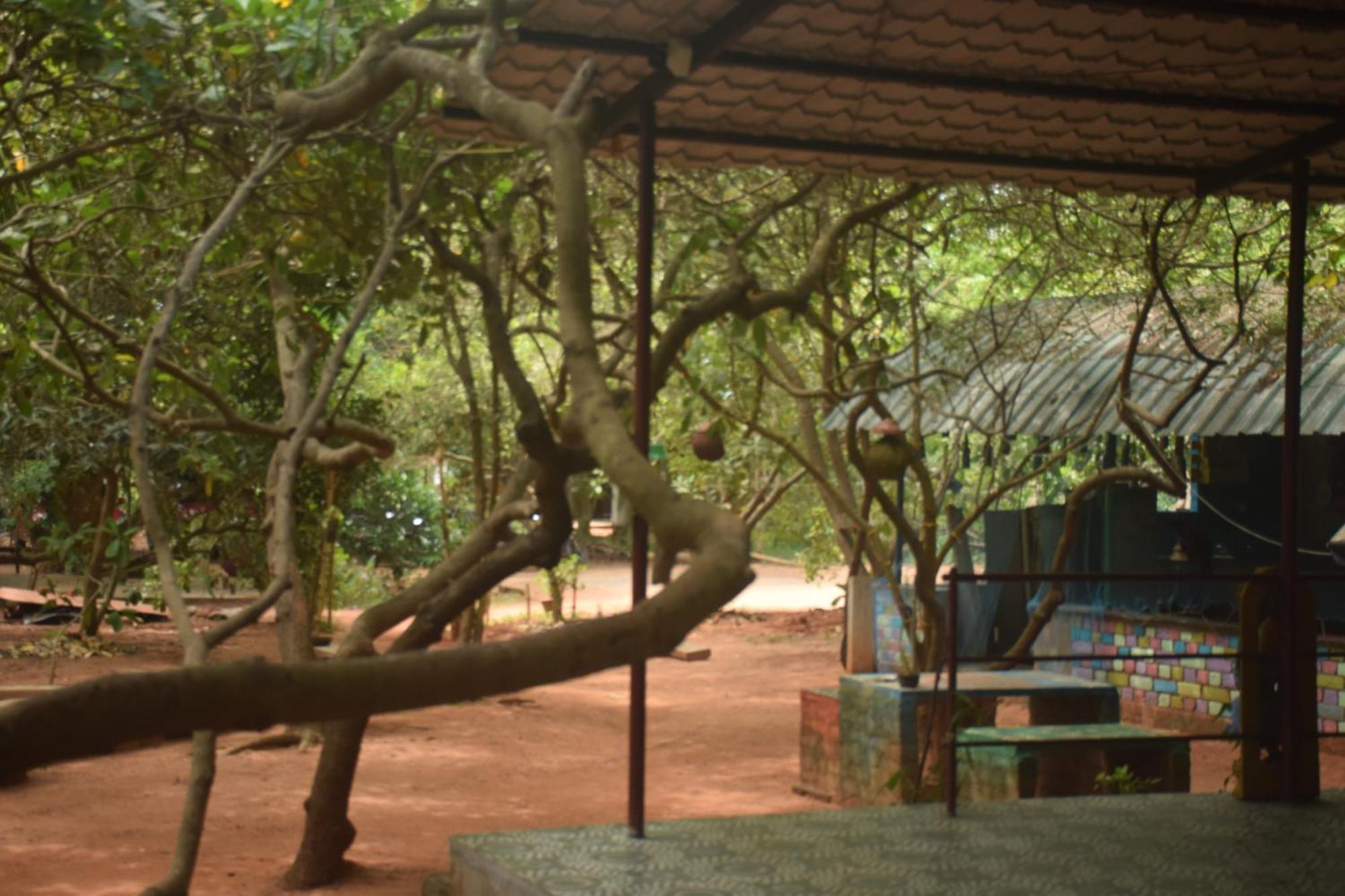 Travellers Crib Hotel Auroville Buitenkant foto