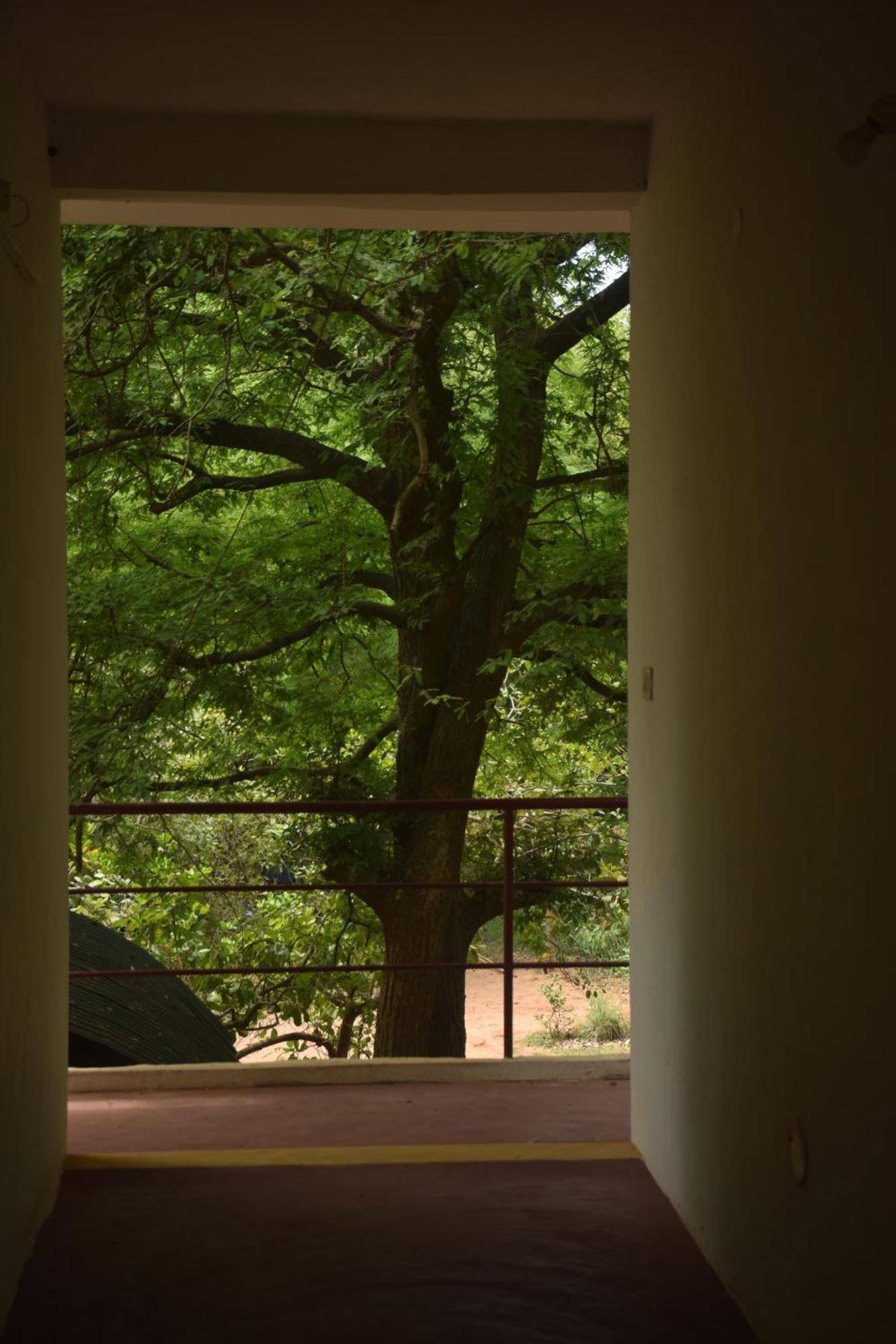 Travellers Crib Hotel Auroville Buitenkant foto